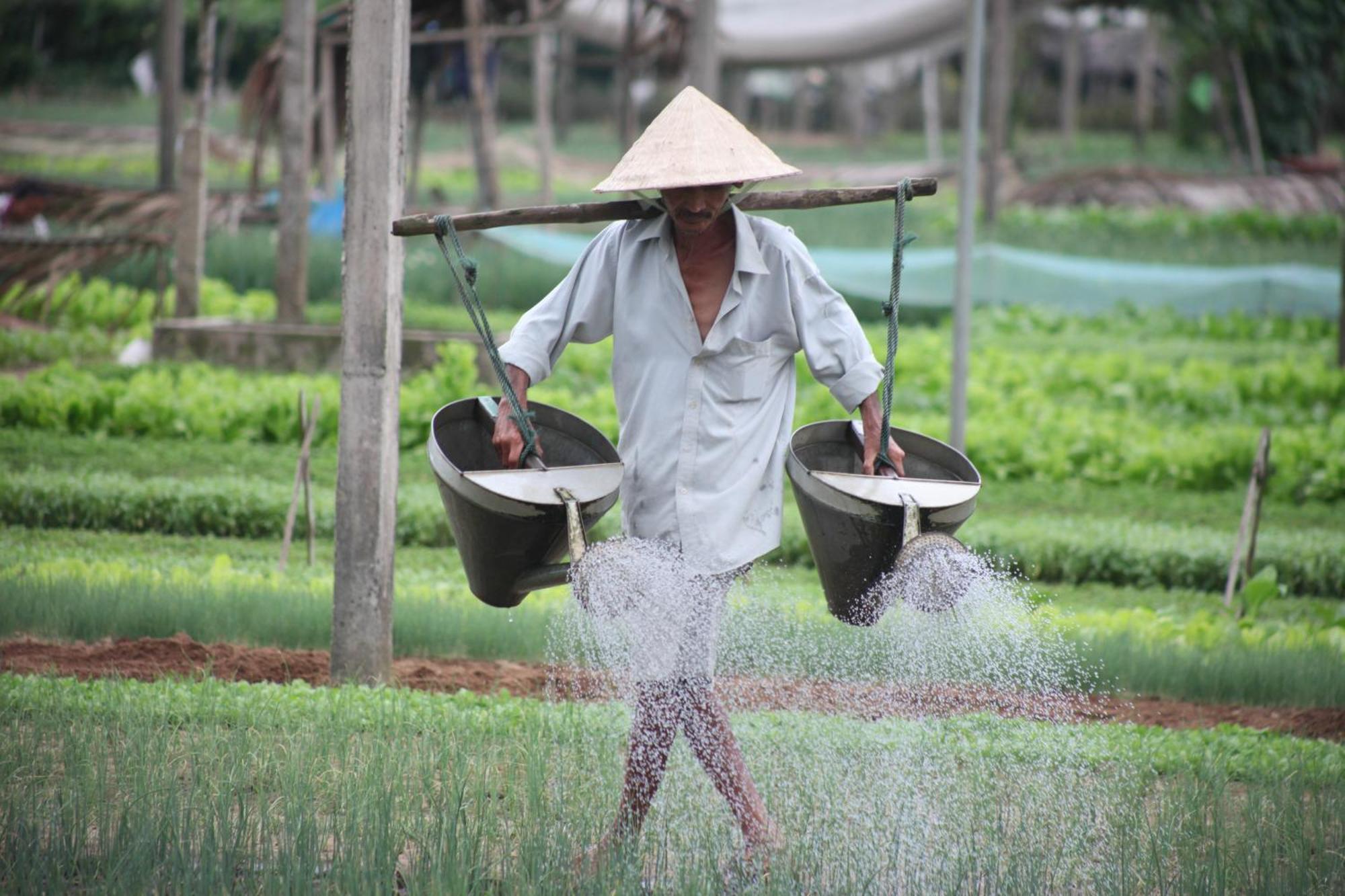 Charming Homestay Hoi An Exterior foto