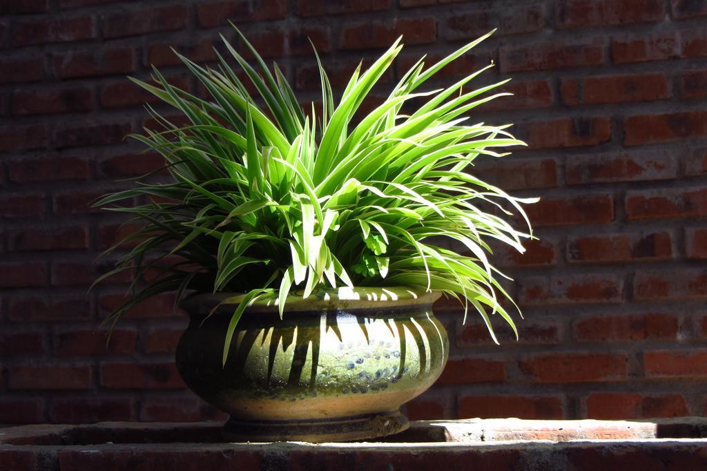 Charming Homestay Hoi An Exterior foto